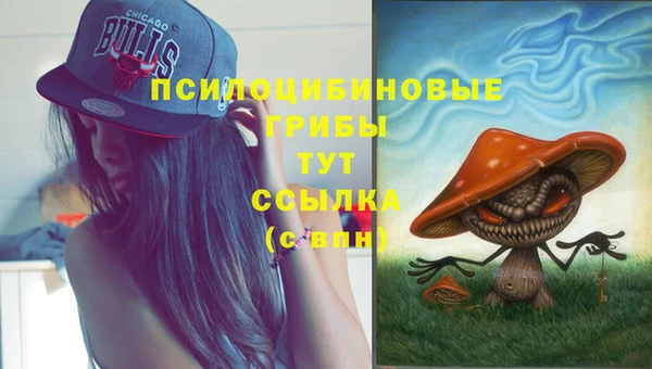 экстази Армянск