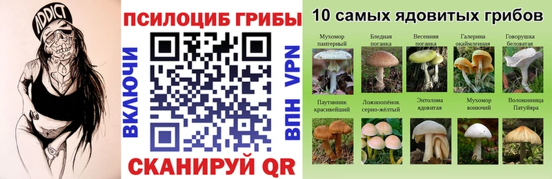 цены наркотик Тарко-Сале Псилоцибиновые грибы Cubensis